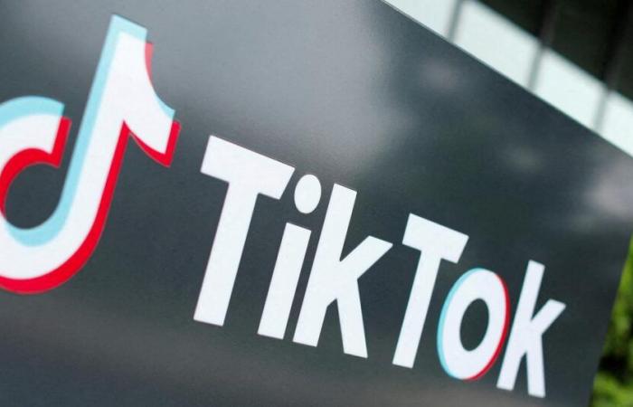 on TikTok, an influencer calls to attack opponents of the Algerian regime in France