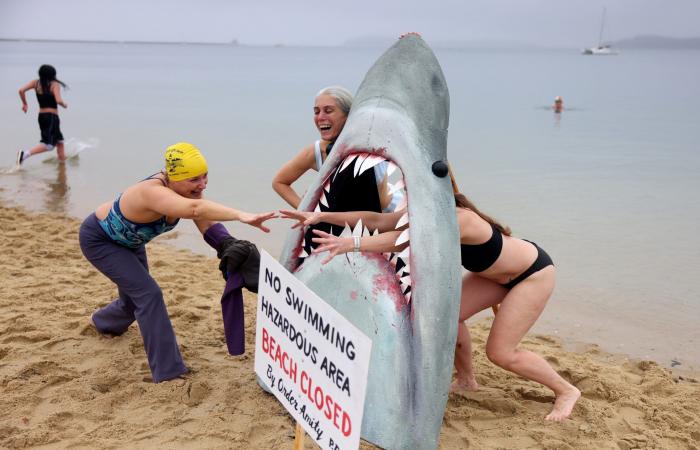 This was the scene at this year’s L Street Brownies polar plunge