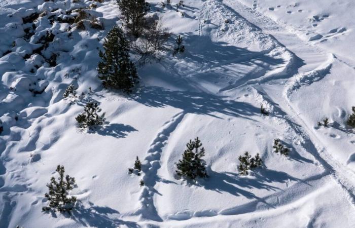 how to explain the fall of two hikers in the same place a few hours apart?