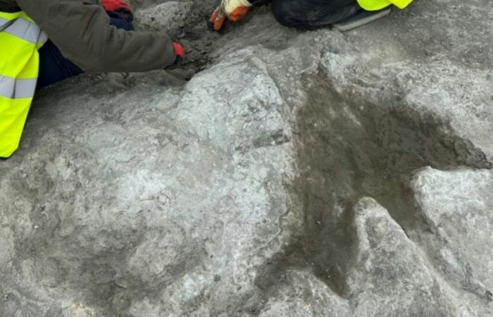 Discovery of the UK's largest dinosaur footprint site: News