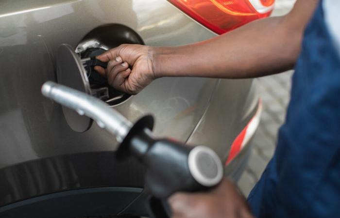 Fuel: prices which remain stable in January