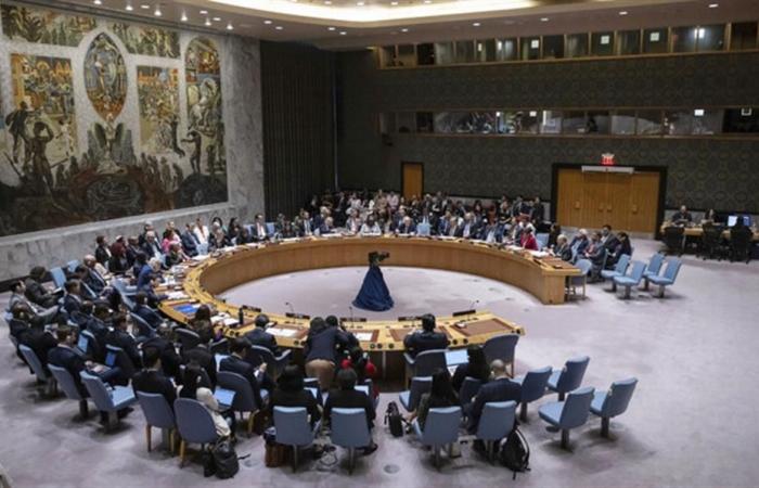 Expectations for Panama’s return to the UN Security Council