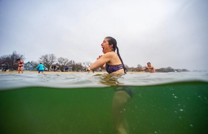 This was the scene at this year’s L Street Brownies polar plunge