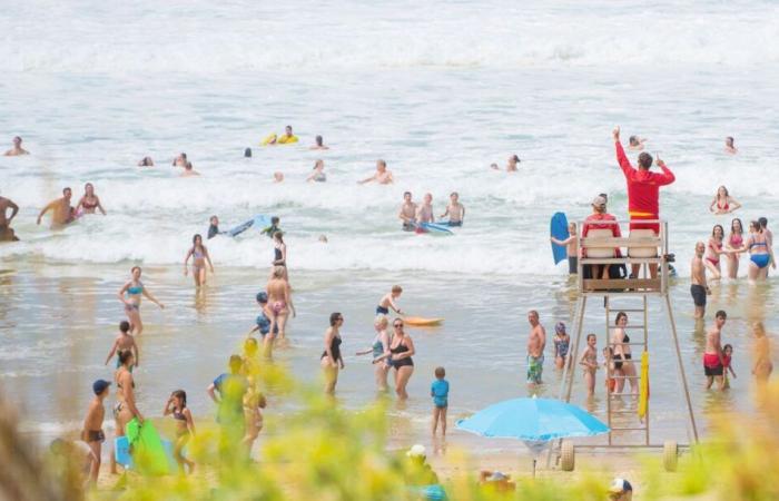 recruitment of water lifeguards is open for 2025