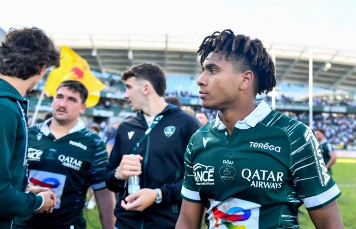 Top 14. Pau surnage, the big names good students, Vannes at the limit… update on the JIFF ranking at mid-season