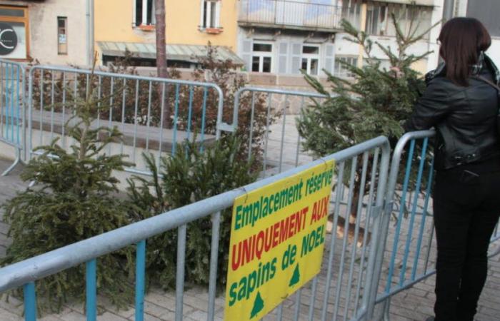 Metropolis of Lyon. Where and when to throw your Christmas tree after the holidays?