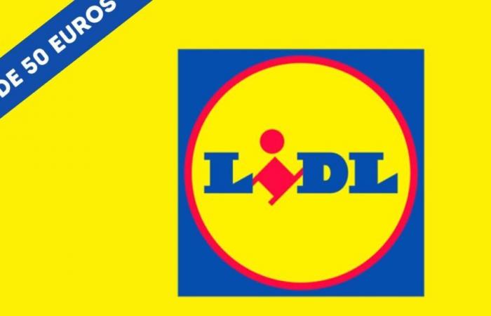 Lidl: these 5 good deals for less than 50 euros are shaking the web