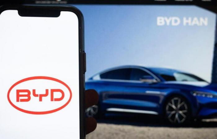 the big leap forward in sales of Chinese BYD in 2024