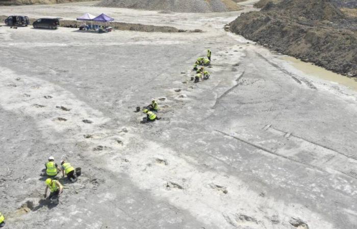 UK’s largest dinosaur footprint site discovered