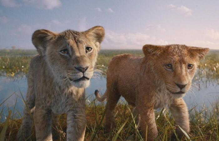 Box-office hebdo : Mufasa impose sa patte