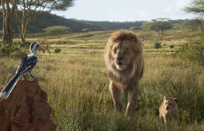 Was Disney’s live action Lion King, by Jon Favreau, filmed on real locations?