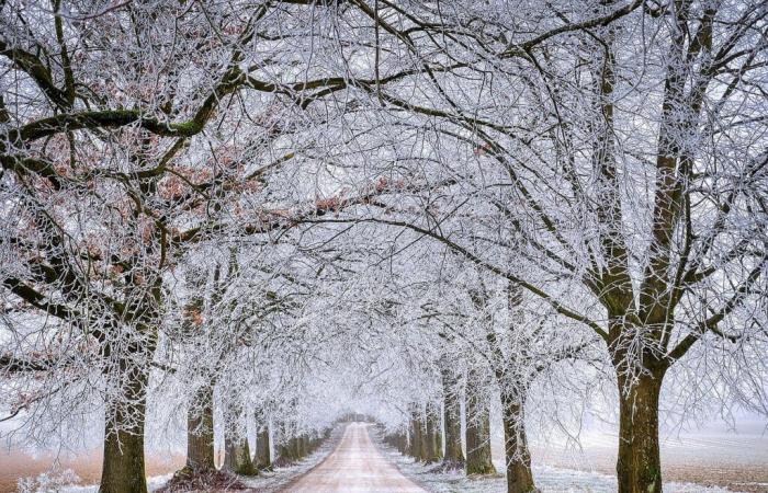 Snow in the mountains: January 2nd, 2025, 11:05 a.m