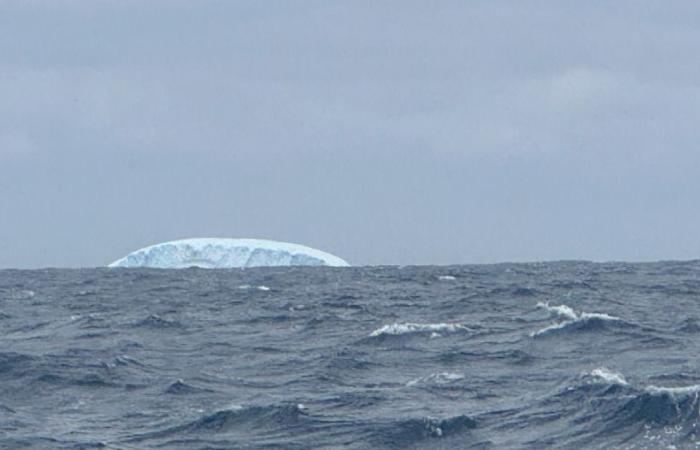 Danger, iceberg straight ahead, Dalin and Richomme do not let go of each other… The race diary