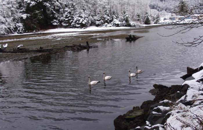 National Historic Park Reminds Visitors To Never Feed Wildlife