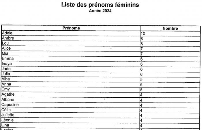 Puy-en-Velay maternity ward: births are on the rise again, Louis and Adèle, the most given first names in 2024