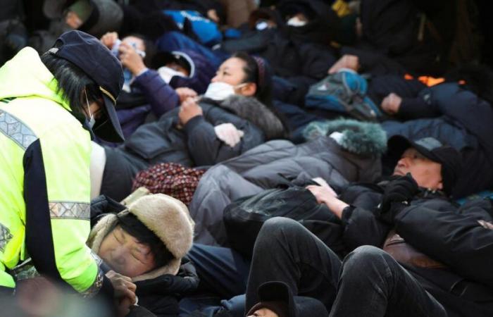 Hundreds of protesters clash in Seoul