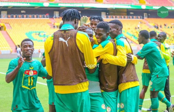 More than 46 million FCFA paid to local Lions and U15s after their qualifications