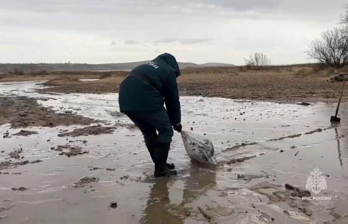 200,000 tonnes of sand contaminated: the oil spill in Russia and Crimea continues to spread along the coast