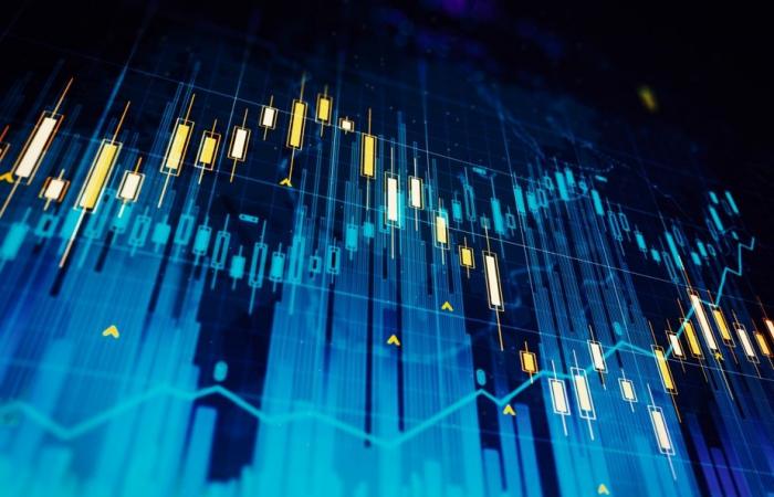 Stock market report of Québec inc. | Winners and losers of 2024