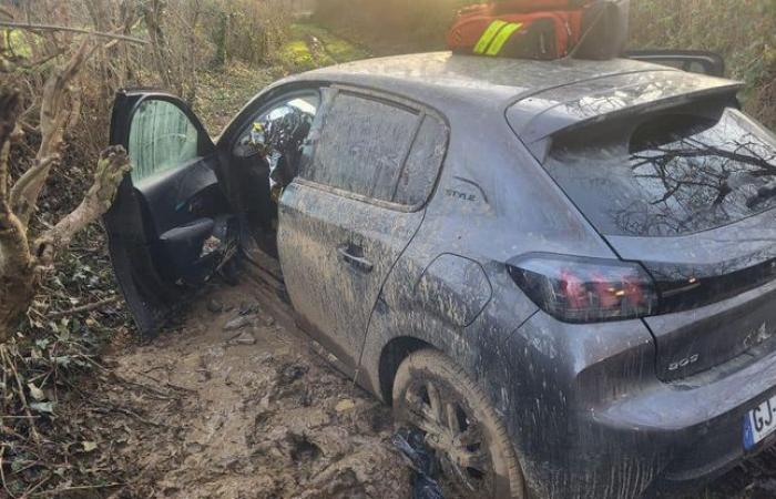 Missing pensioner found alive four days later, trapped in his car