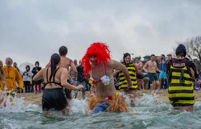 This was the scene at this year’s L Street Brownies polar plunge