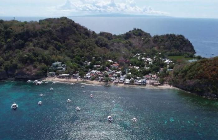 Apo Island, the pollution-free jewel of the archipelago