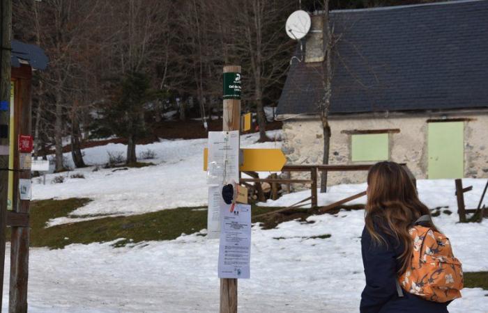 Hikers dead in the Pyrenees: “Snow and winter weather exacerbate the risk of accident”, at the foot of Cagire safety is essential