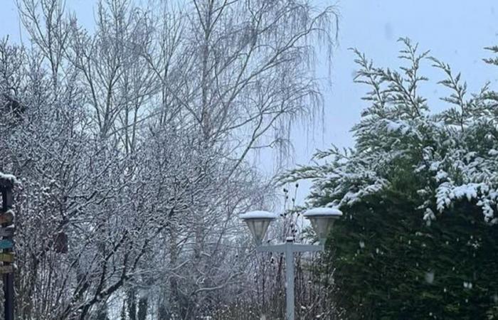 first snowflakes in Châtillonnais