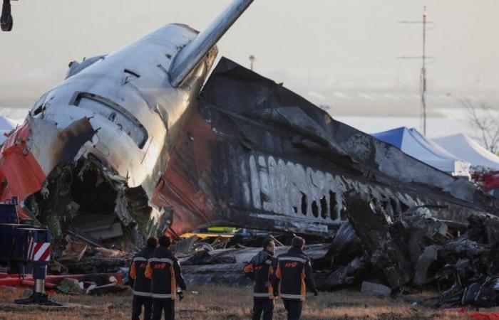 search at Muan airport after deadly Jeju Air Boeing crash