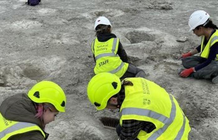 Nearly 200 dinosaur footprints discovered in UK quarry