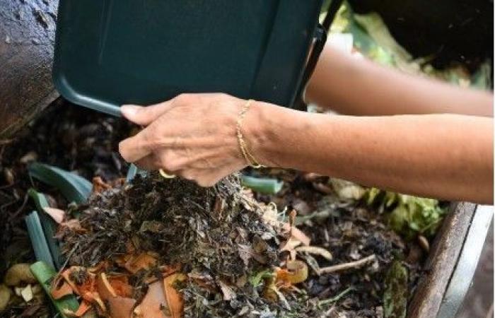 Despite the obligation to sort biowaste, millions of residents are still forgotten