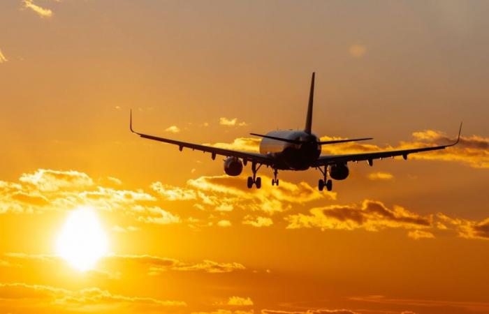 Airbus and jet narrowly avoid collision at Los Angeles airport