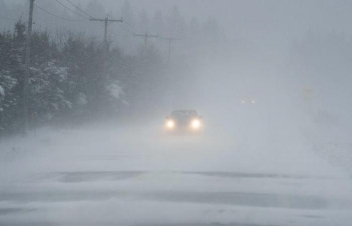 Up to 60 centimeters of snow in southern Ontario