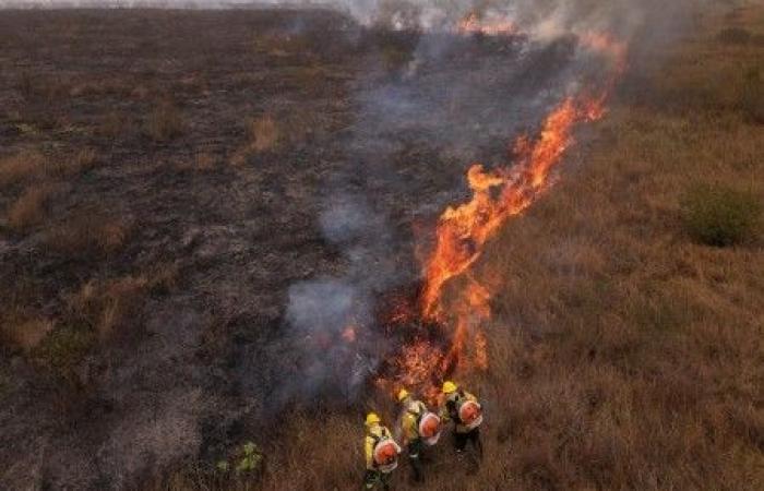 In the Amazon, a historic record of forest fires in 2024