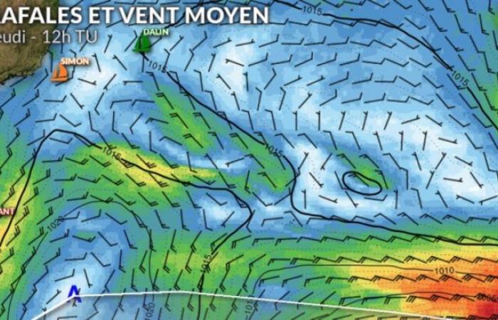 Vendée Globe: the leading duo battle hard on the road that takes them to the Equator