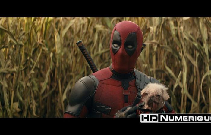 Test 4K Ultra HD Blu-ray : Deadpool & Wolverine (2024)