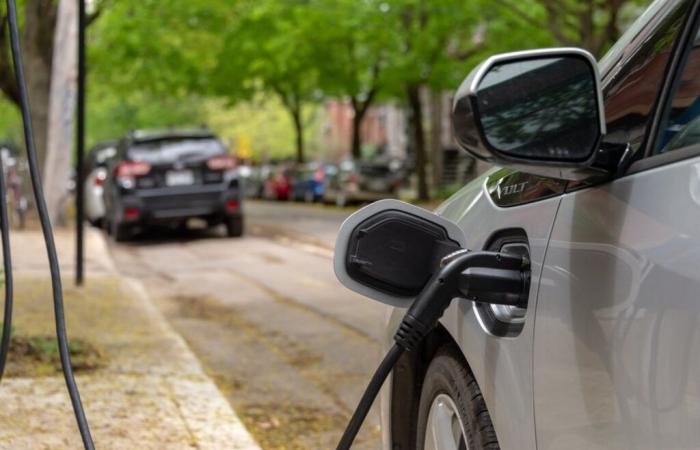 Quebec will ban the sale of thermal cars: a major upheaval