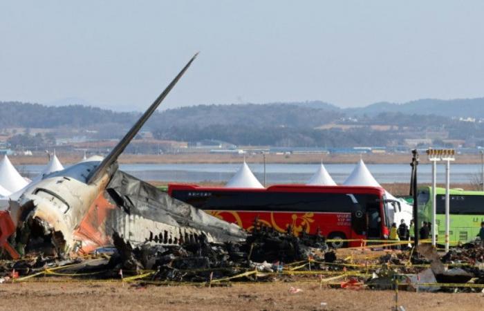 search at Muan airport