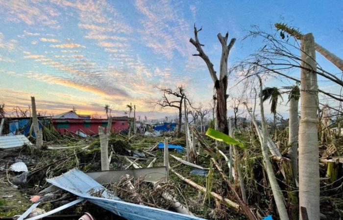 what firefighters from Haute-Garonne are doing on Mayotte, an island devastated by the cyclone