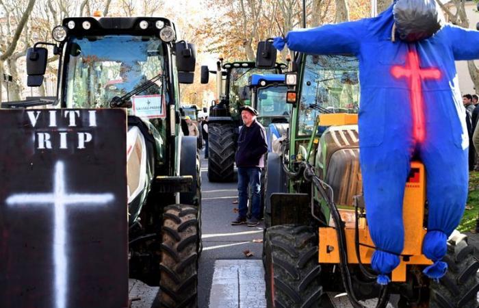 Campaign for municipal elections, Tour de France, elections to the Chamber of Agriculture… the events which will make the year 2025 in Aude