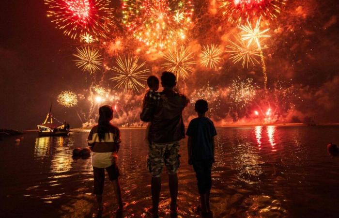 The most beautiful New Year images in the world (photos)