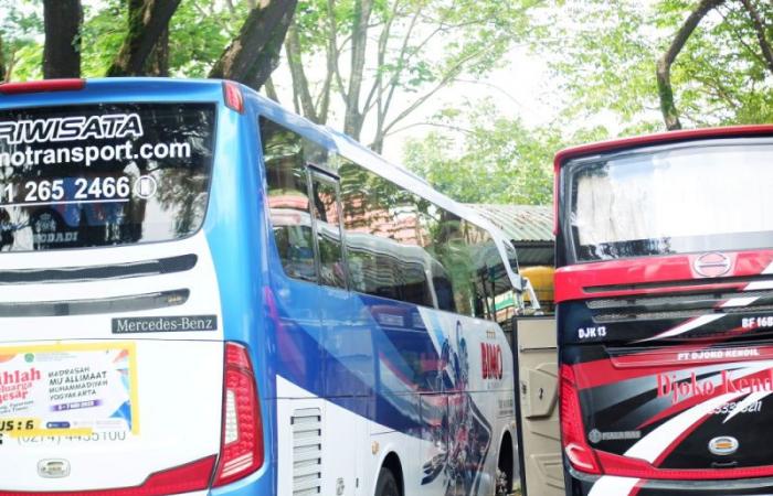 Bali’s Biggest Public Bus Service Ceases Operation Leaving Locals And Tourists Frustrated