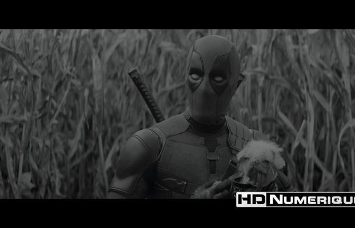 Test 4K Ultra HD Blu-ray : Deadpool & Wolverine (2024)