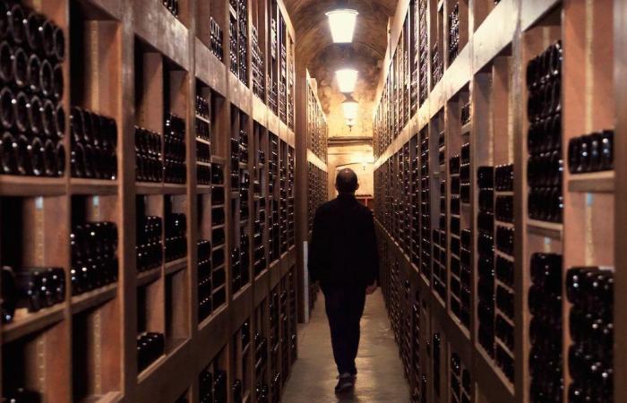 Where to find the best wine cellars in Monaco?