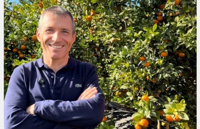 “What if the proliferation of certificates sows confusion and hinders consumers of organic citrus fruits? »