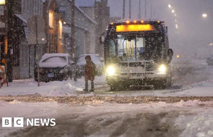 Polar vortex to bring freezing weather to US