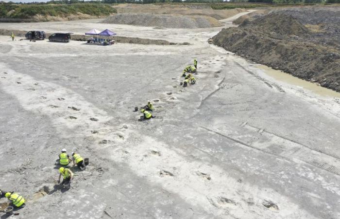 Discovering the UK’s largest dinosaur footprint site