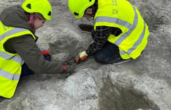 United Kingdom: nearly 200 dinosaur footprints discovered