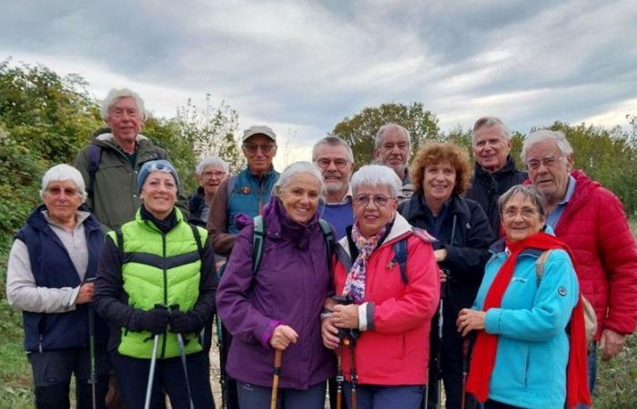 Albas. Steps, but also cakes and souvenirs with Caminar