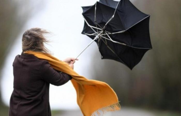 Strong winds cause damage in the Liège region: a building affected in Val Benoît, vehicles damaged and roads closed